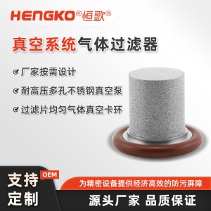 DF系列扩散器专用滤器_316L真空法兰过滤器_工艺气体过滤器