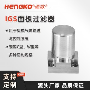 高精度IGS面板专用过滤器_半导体行业集成气体输送与控制系统