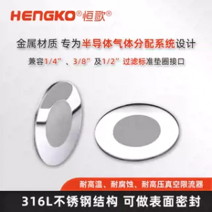 MSF 316L不锈钢垫片式过滤器_密封超纯净接头垫片