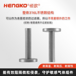 扩散器过滤器_仪器保护专用过滤器_工艺洁净过滤器