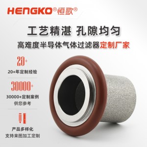 DF系列扩散器专用滤器_316L真空法兰过滤器_工艺气体过滤器