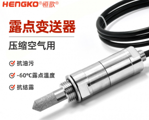 恒歌在线式露点仪_精密露点仪_露点仪厂家