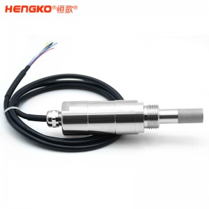HG602干燥气体微型露点变送器在线露点仪工业级温湿度露点测量仪