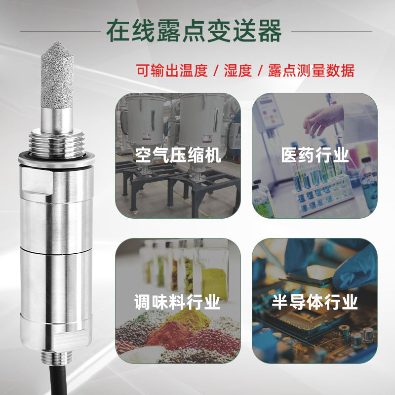 在线露点仪1