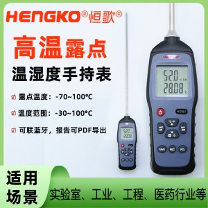 HG981高温便携露点测试仪工业厂房高精度手持式温湿度露点仪