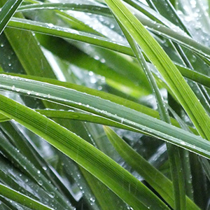 清明时节雨纷纷？不防潮真的会断魂!